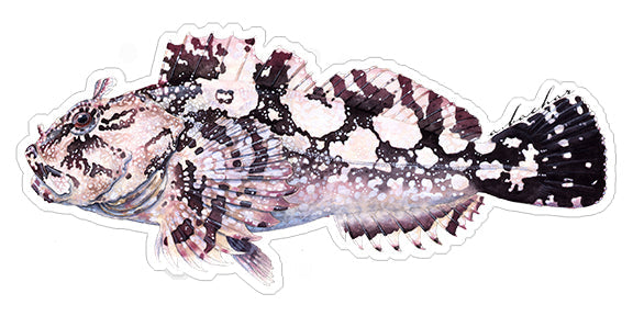 Fish Stickers