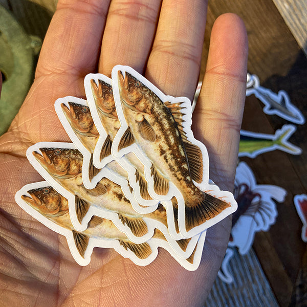 Fish Stickers