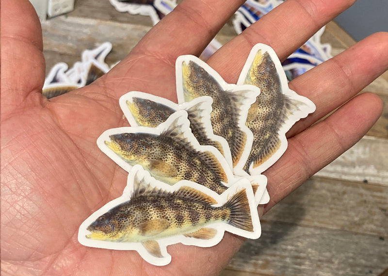 Fish Stickers