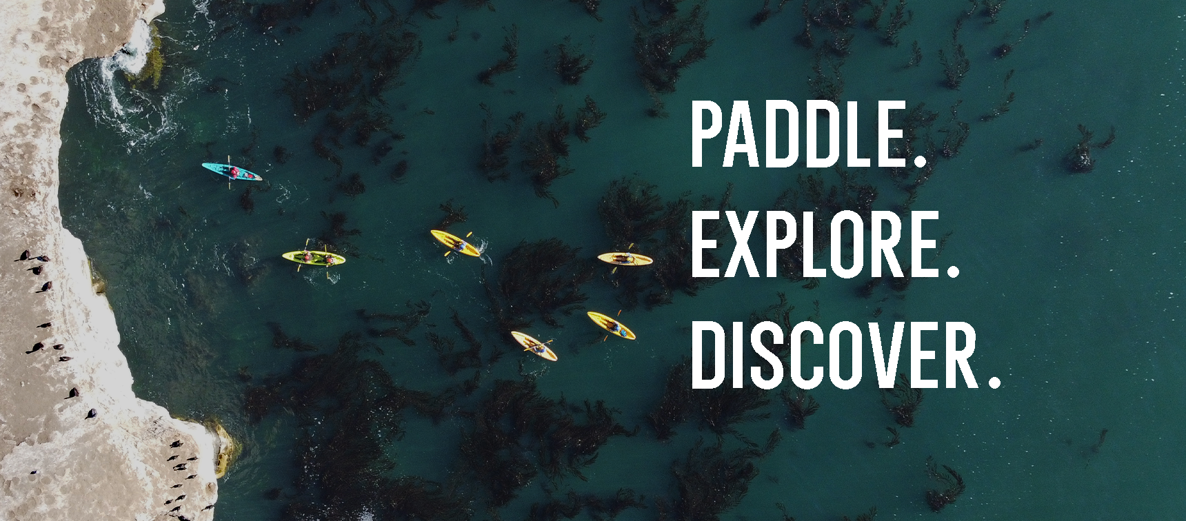 Fish Pro Kayak PRO Kayak Fishing – Central Coast Kayaks / PRO Kayak Fishing