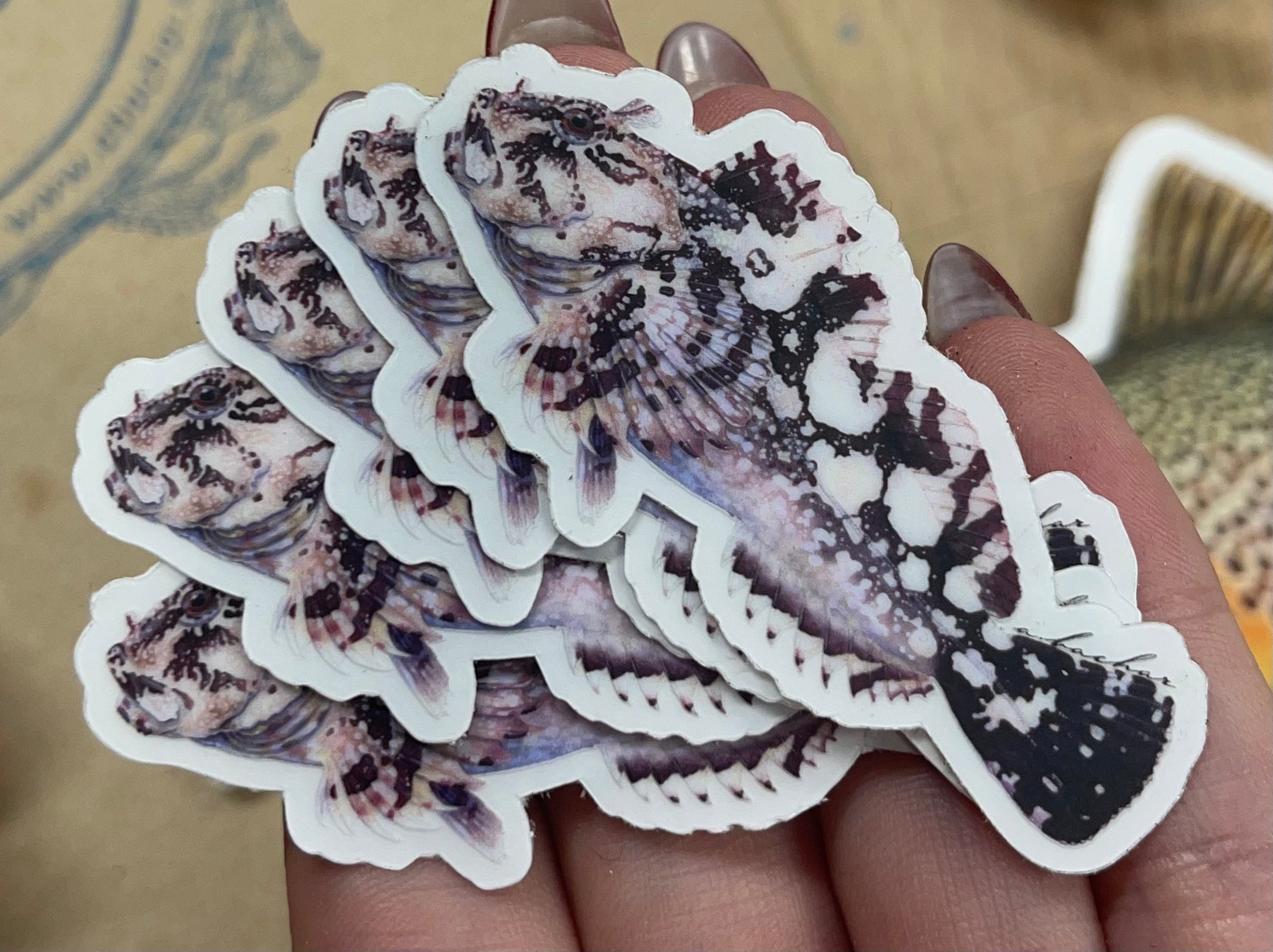 Cs Fish Sticker Fish Stickers – Central Coast Kayaks / PRO Kayak Fishing